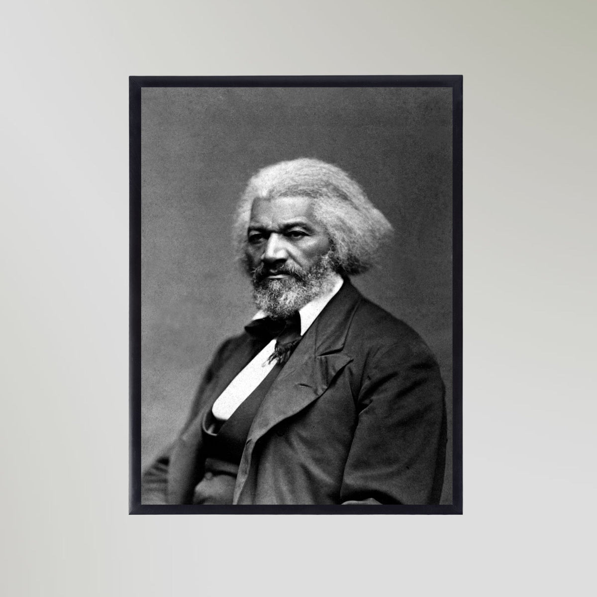 Frederick Douglass Portrait Art Print