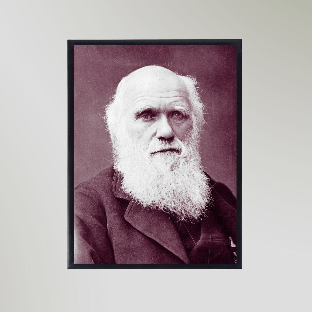 Charles Darwin (1881) Portrait Art Print