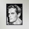 Charlton Heston Portrait Art Print