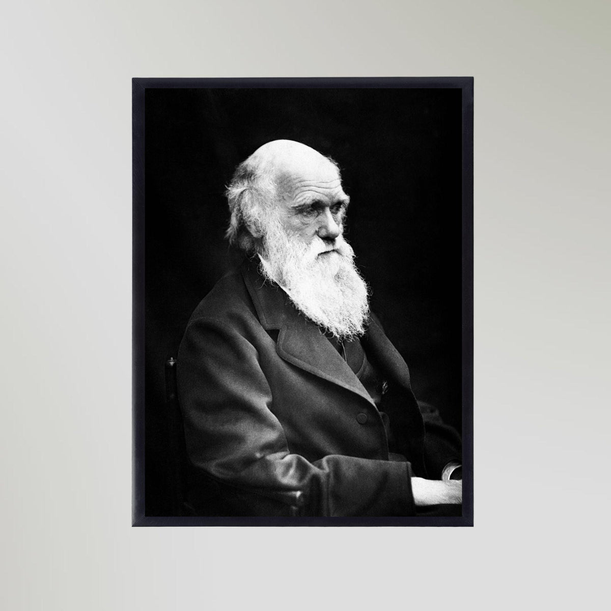 Charles Darwin (1869) Portrait Art Print
